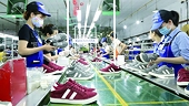 Making good use of opportunities from EVFTA, leather and footwear exports accelerate to the EU