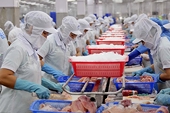 Vietnamese pangasius exporters to US enjoy zero tariffs