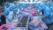 US announces final results of POR16 for Vietnamese tra, basa fish