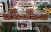 Farm produce reach Europe via Vietnam’s e-commerce platform