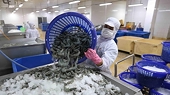 Vietnam’s aquatic export targets US$9 billion in 2021