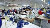 Firms offered recommendations to boost exports to EU