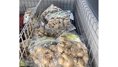 Frozen Vietnamese ginger products favoured in Australia