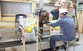 Animal feed exports see surge in H1