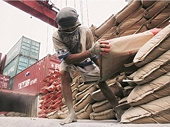 No anti-dumping duty on fibre board from 4 countries: India