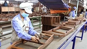 Vietnam’s timber exports record strong growth in first seven months