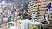 Bangladesh Govt to cut import duty on rice