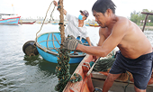 Vietnam fishery faces hefty loss to EU restrictions