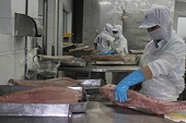 Seafood exports could lose half a billion USD per year if given a "red card"