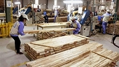 India decides not to impose anti-dumping duty on MDF boards from Vietnam
