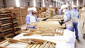 Vietnamese wood products have large room for expansion in France and the EU