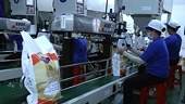 Urgent actions needed to promptly resolve difficulties facing Vietnamese rice exporters