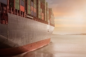 US solar group urges government to act on claims of Southeast Asian dumping