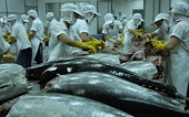 Tuna exports to major markets drop due to COVID-19