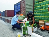 Reform of quality and food safety inspection to have comprehensive impacts