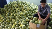 Room remains for Vietnamese exports to Russia