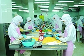Great opportunity for shutchi catfish exports