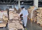 Allocating resources for quick customs clearance and supporting businesses