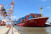 Việt Nam boasts strong exports to CPTPP countries in first-half of 2021