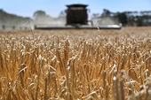 WTO dispute settlement, why Australia bothers