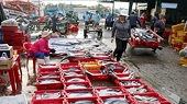 EC to review Vietnam's efforts against IUU at online meeting
