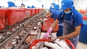 Seafood exports in September down, recovery slow