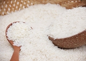 Enterprises urged to strictly follow standards of imported markets