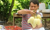 Port congestion impedes agricultural exports