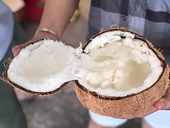Vietnam’s wax coconut enters Australian market
