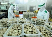 Exports of goods an important momentum for growth