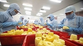 Vietnamese firms seek to promote farm produce export to Russia, EAEU