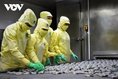 Shrimp exports to RoK enjoy positive growth this year