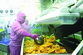 New regulations on China's import and export management: Understand well to avoid export disruptions