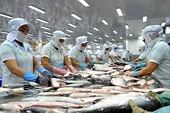 Brazil market offers big opportunities for Vietnamese tra fish