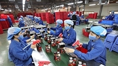 Import-export revenue forecast to hit new record in 2021