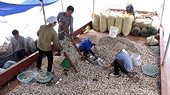 First container of clam meat exported to Europe