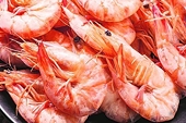 US raises anti-dumping duty on shrimp exports by India