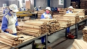 Vietnamese wood enterprises need to enhance competitiveness
