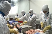 VASEP claims imported seafood regulations inadequate