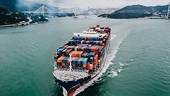 Decrees 248 and 249 on exporting to China: 9 things to know