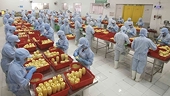 Exporters advised to change themselves to further exploit UK market