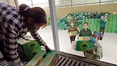Vietnam exports first batch of Doan Hung pomelos to Russia