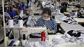 Export-import turnover up 83 percent during Tet holiday