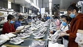 Positive signs seen in footwear export