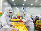 Cold storage key to sustainable agricultural exports