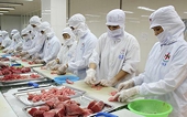 Tuna exports to US soar by 210%