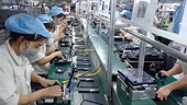 Structure of Vietnam's exports to Singapore stable