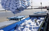 Over 55,000 tonnes of Vietnamese rice exported to RoK to enjoy 5 percent tax rate