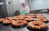 Big room for shrimp industry to increase exports: VASEP