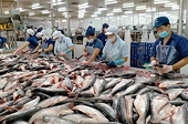 Việt Nam enjoys strong growth in agricultural trade surplus